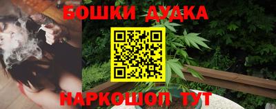 прущие крисы Моздок