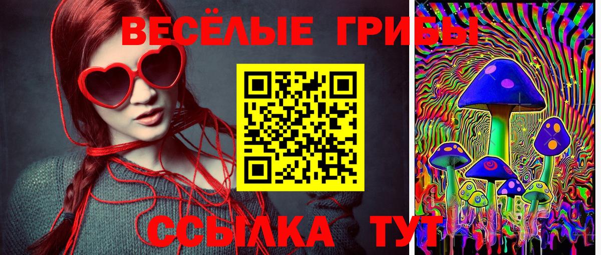Псилоцибиновые грибы MAGIC MUSHROOMS Ейск