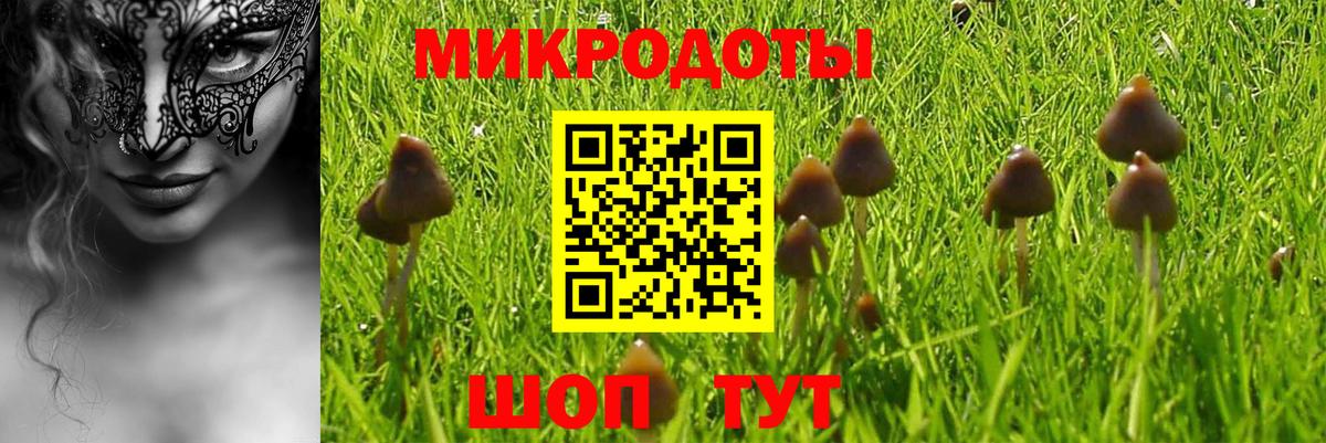 Галлюциногенные грибы Magic Shrooms  Вход с VPN  Ейск 